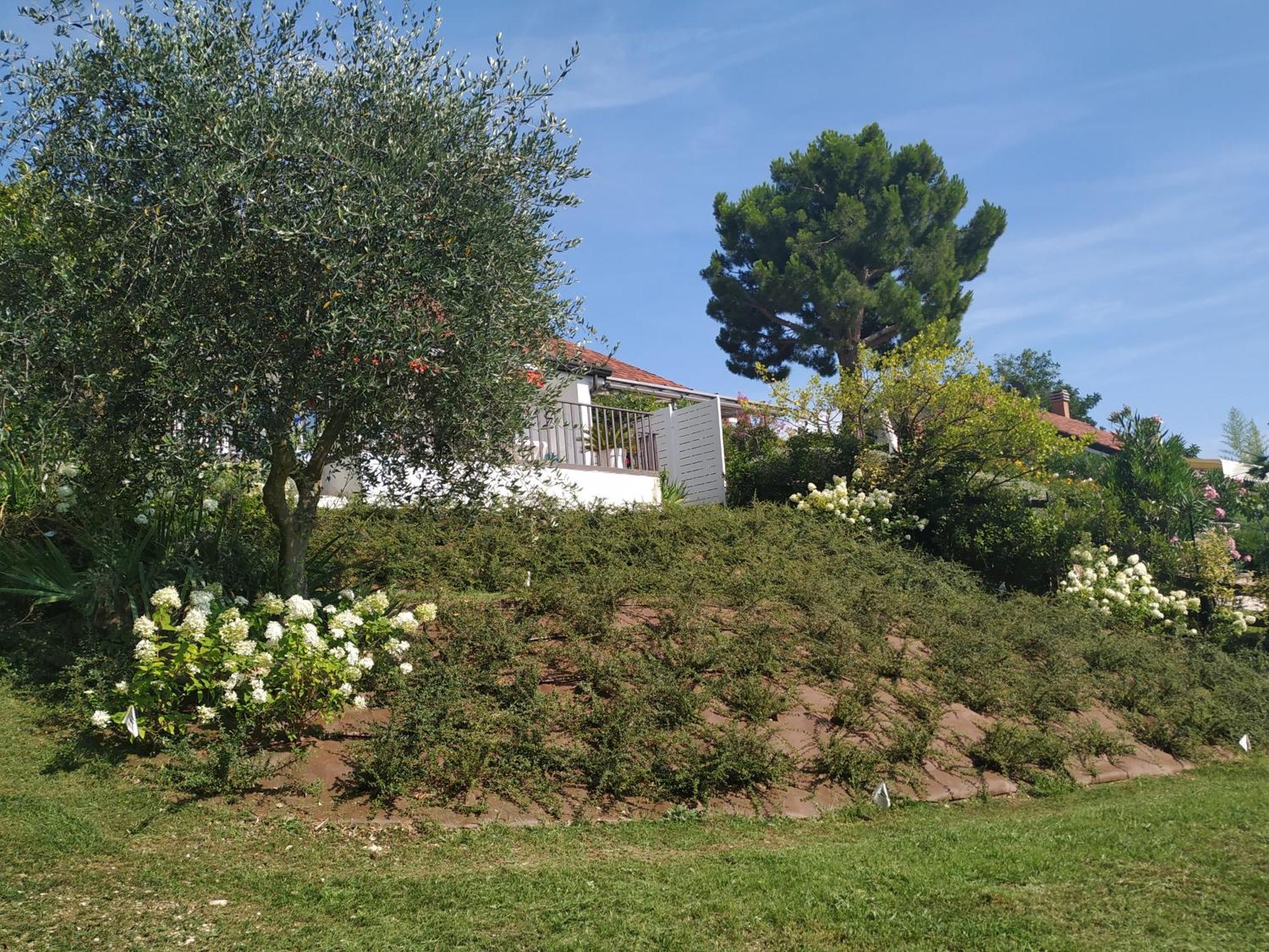 Casa Fellini Villa San Zeno di Montagna Eksteriør billede